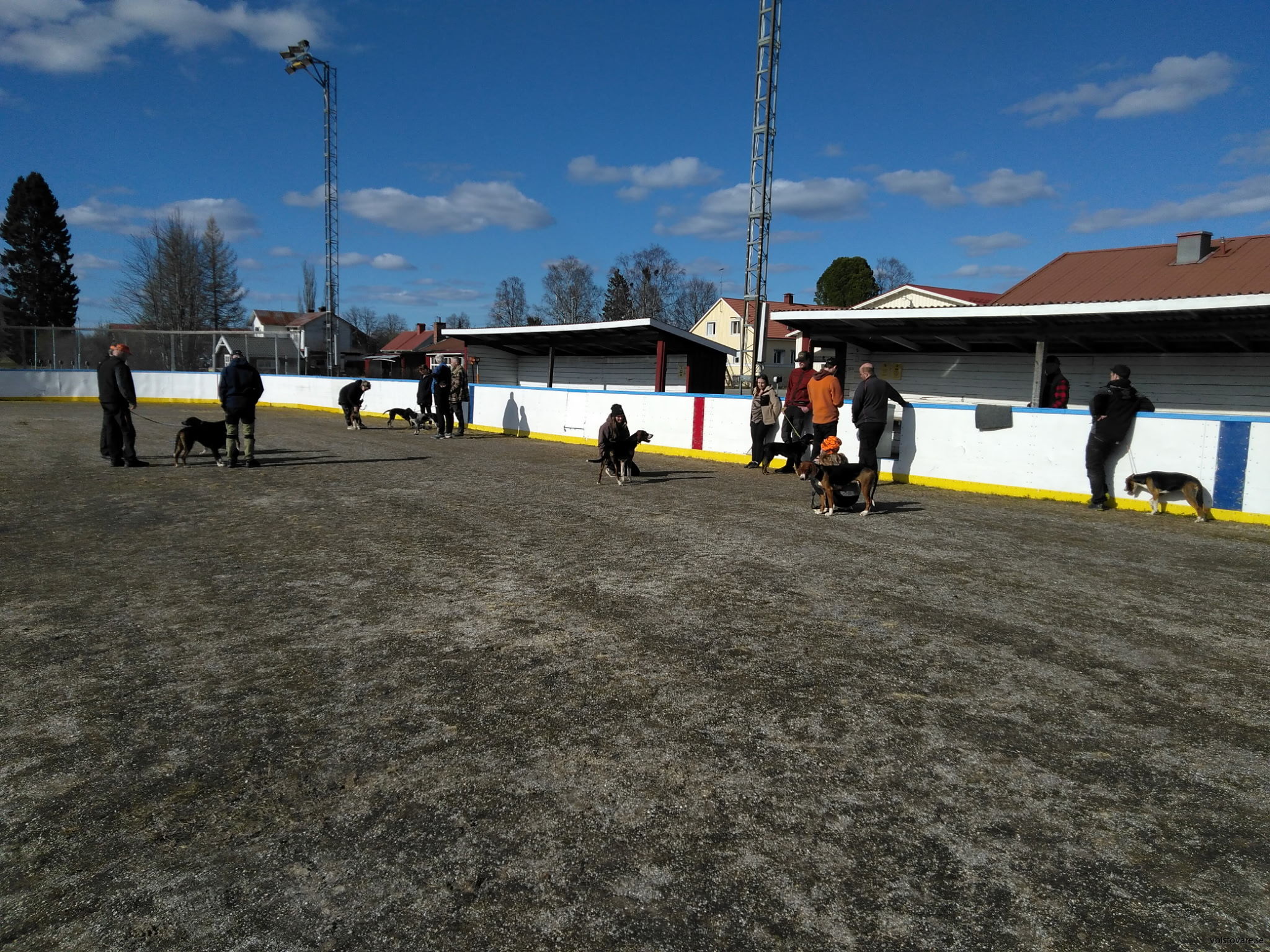 Ringträning i mellanbygden